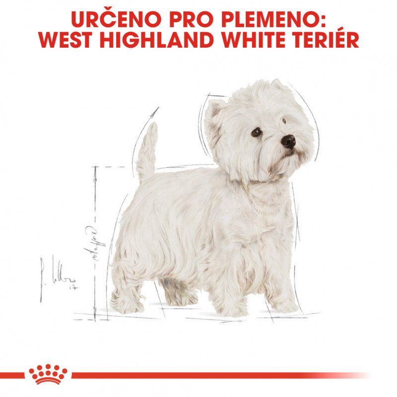 Royal Canin West Highland White Terrier Adult 