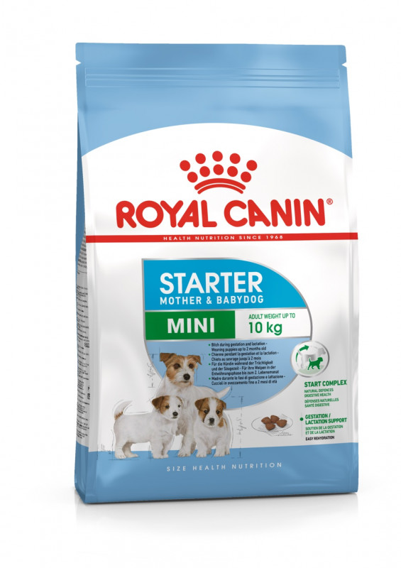 Royal Canin Mini Starter Mother&Babydog 4kg