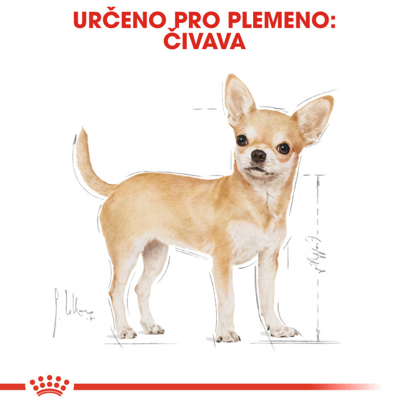 Royal Canin Adult Chihuahua kapsičky