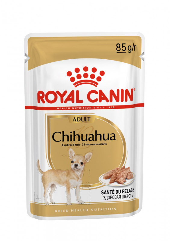 Royal Canin Adult Chihuahua kapsičky 12x85g