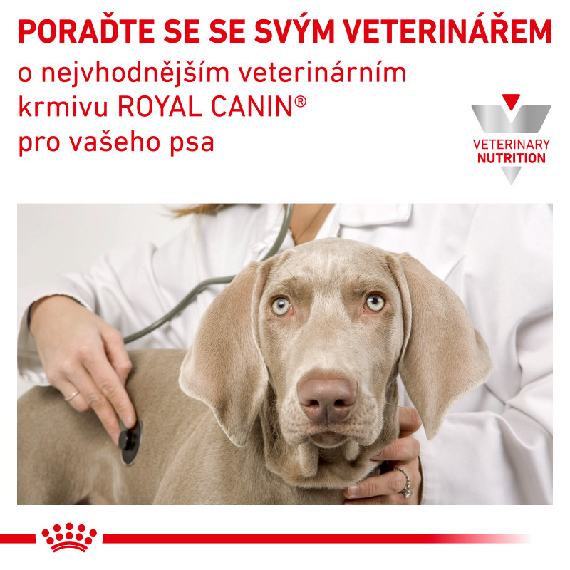 Royal Canin VHN Dog Urinary S/O Mod Cal