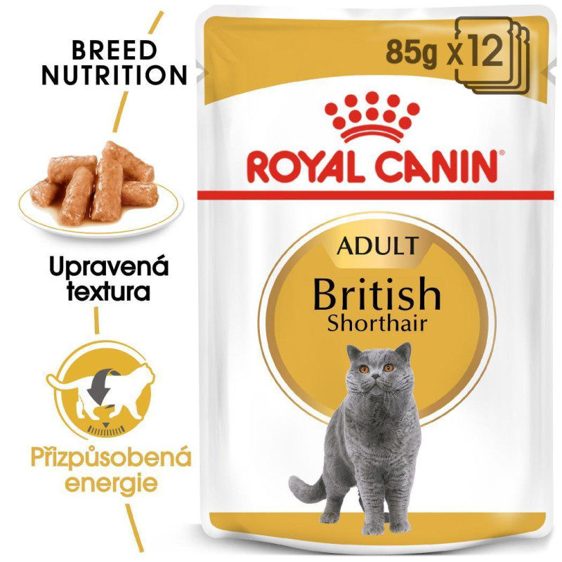 Royal Canin Cat British Short Hair 12x85g