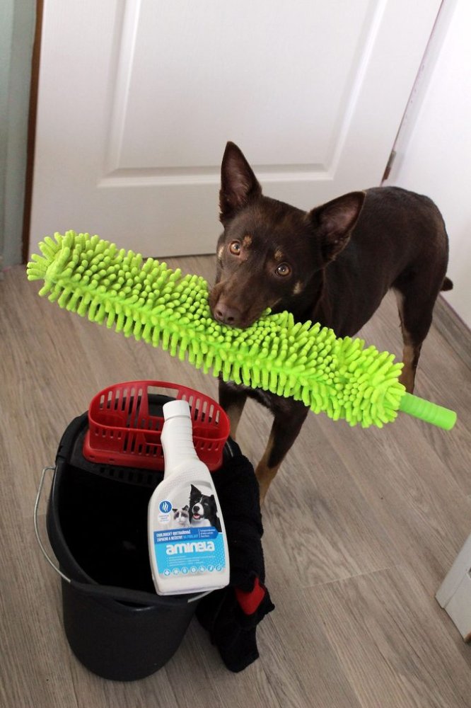 Aminela Clean ekologický odstraňovač zápachu na podlahy 500ml