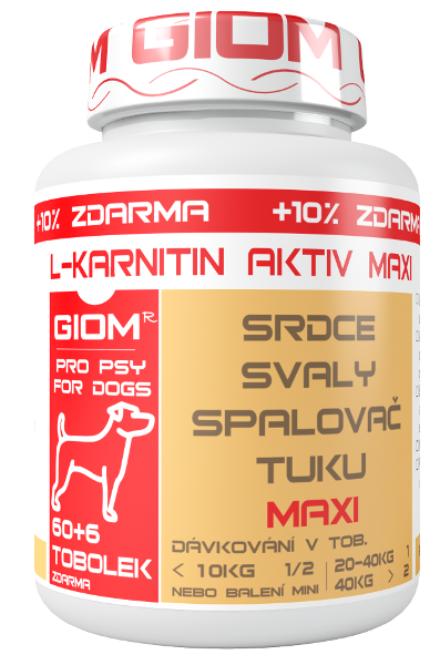 Giom L-karnitin Aktiv Maxi 60 tobolek