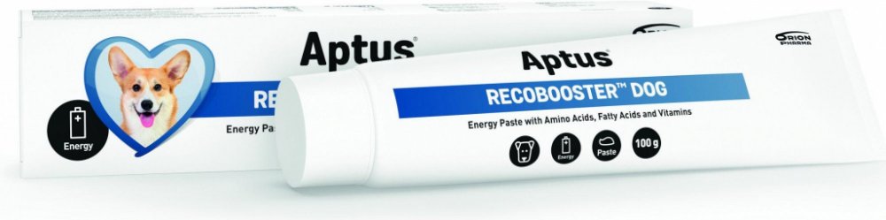 Aptus Recobooster Dog pasta 100g