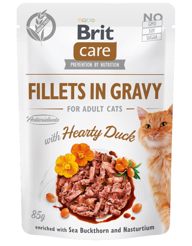 Brit Care Cat kapsička Fillets in Gravy with Hearty Duck 24x85g