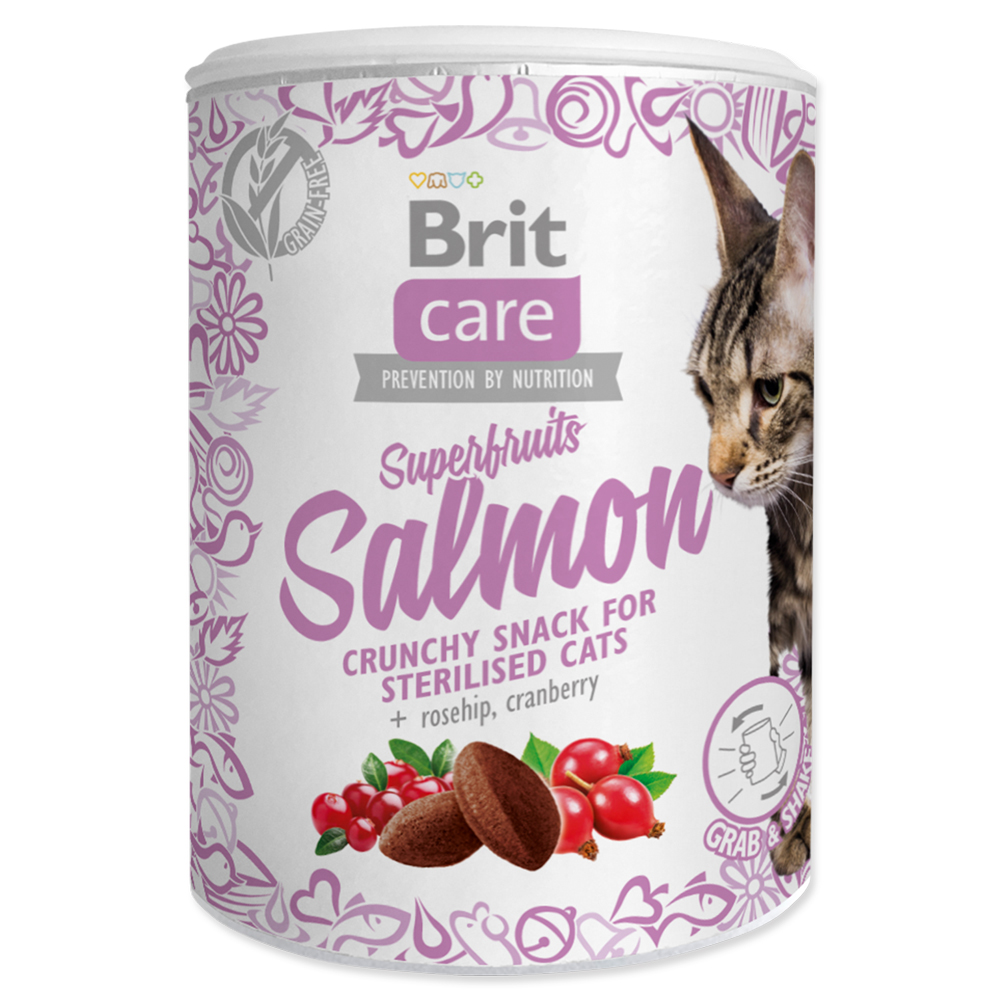 Brit Care Cat Snack Superfruits Salmon 100g