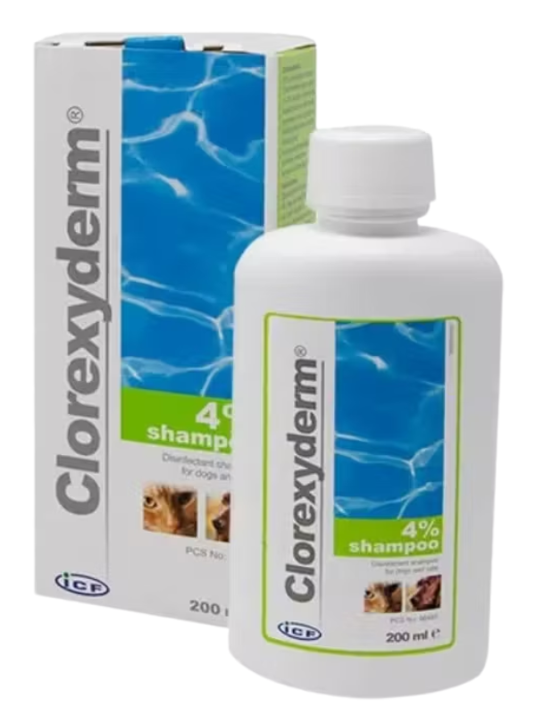 Clorexyderm shampoo 4% ICF 250 ml