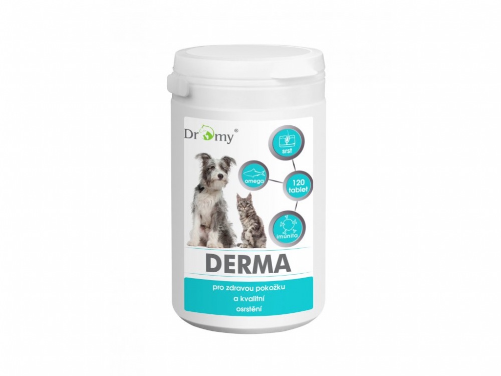 Dromy Derma 120 tbl.