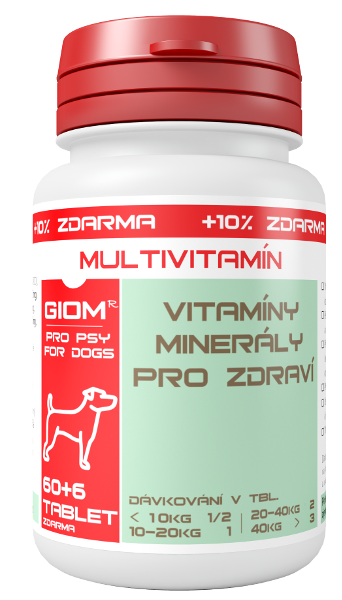 Giom Multivitamín 60 tablet