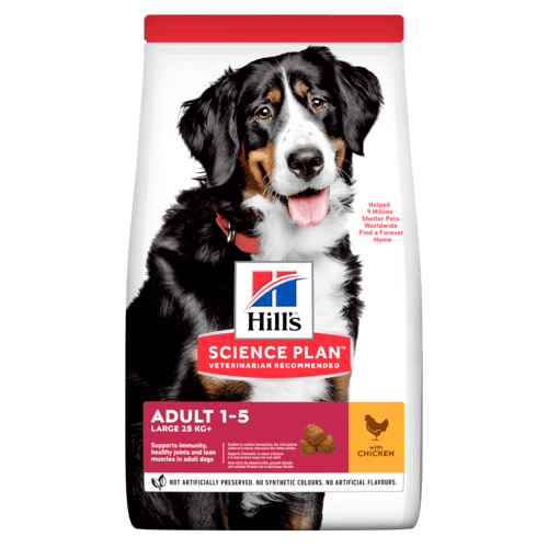 Hill's Canine Adult Large Breed with Chicken 18kg