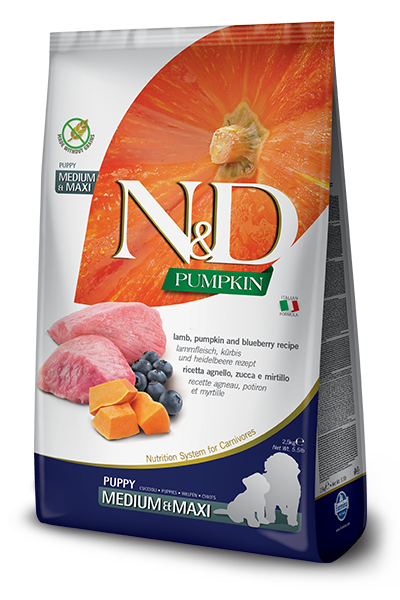 N&D GF Pumpkin Puppy M/L Lamb & Blueberry 12kg