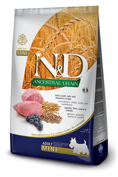 N&D Low Grain Dog Adult Mini Lamb & Blueberry 7kg