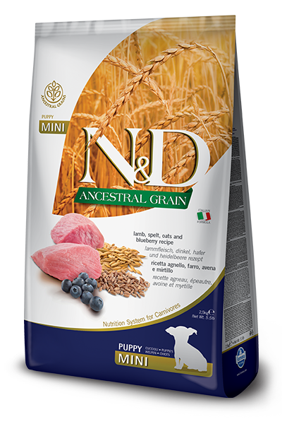 N&D Low Grain Dog Puppy Mini Lamb & Blueberry 2x7kg