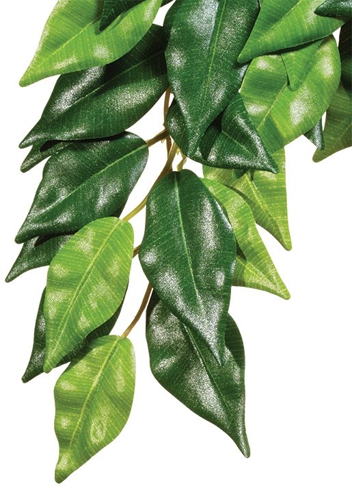 Rostlina EXO TERRA Ficus střední 55 cm