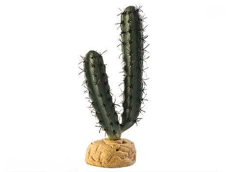 Rostlina EXO TERRA Finger Cactus 19 cm