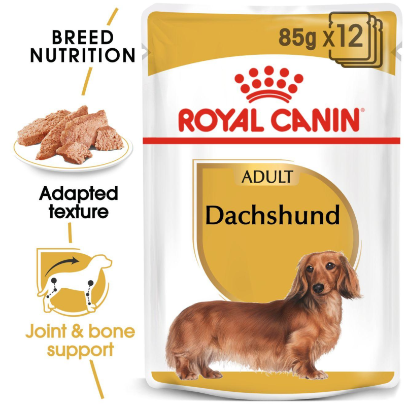 Royal Canin Adult Dashund kapsičky 12x85g