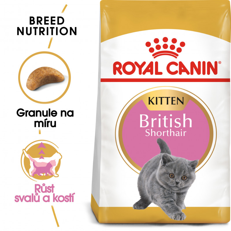 Royal Canin British Shorthair Kitten 10kg