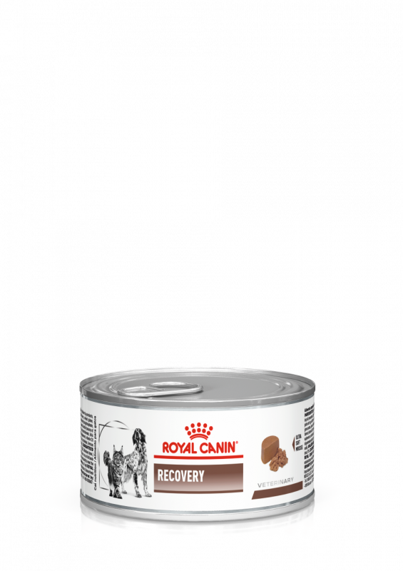 Royal Canin Veterinary Diet Recovery Feline/Canine Can 195g