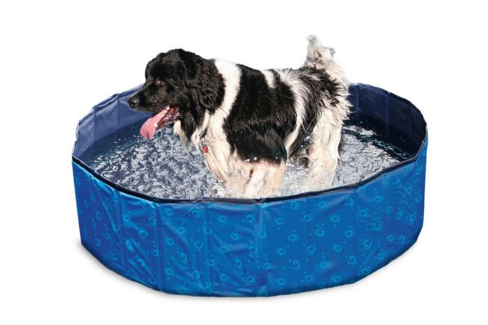 Skládací bazén pro psy modro/černý 120x30cm