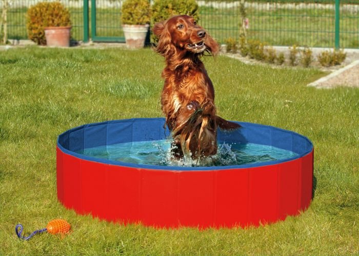 Skládací bazén pro psy modro/červený 120x30cm