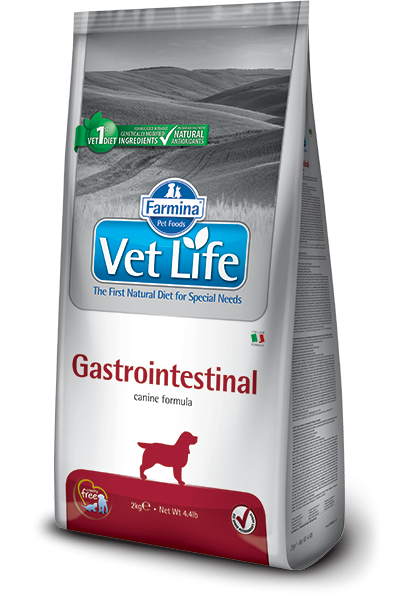 Vet Life Dog Gastrointestinal 2kg