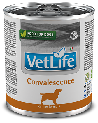 Vet Life Natural Dog Convalescence 300g