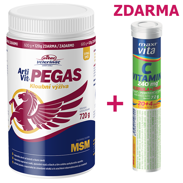 Vitar Artivit Pegas MSM 720g