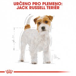 Royal Canin Jack Russel Adult