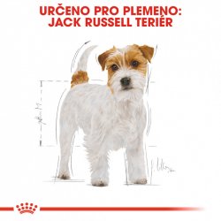 Royal Canin Jack Russel Adult