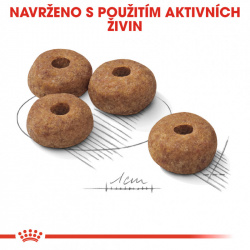 Royal Canin Medium Sterilised