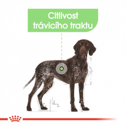 Royal Canin Maxi Digestive Care