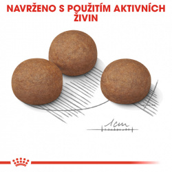 Royal Canin Maxi Digestive Care