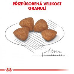 Royal Canin X-Small Puppy 