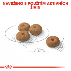 Royal Canin Mini Sterilised