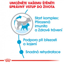 Royal Canin Mini Starter Mother&Babydog