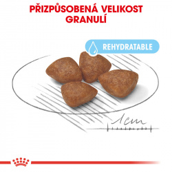 Royal Canin Mini Starter Mother&Babydog