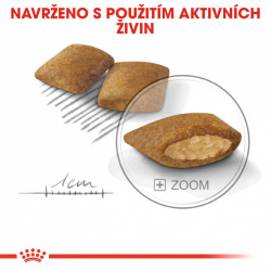 Royal Canin Mini Exigent