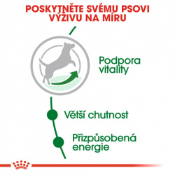 Royal Canin Mini Adult 8+years