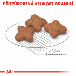 Royal Canin Mini Adult 8+years