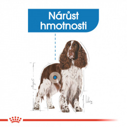 Royal Canin Medium Light Weight Care