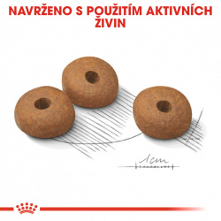 Royal Canin Medium Light Weight Care
