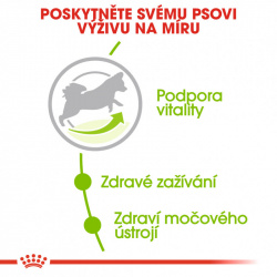 Royal Canin X-Small Adult +8