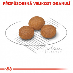 Royal Canin X-Small Adult +8