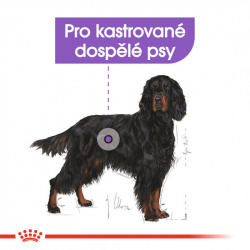 Royal Canin Maxi Sterilised