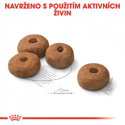 Royal Canin Maxi Sterilised