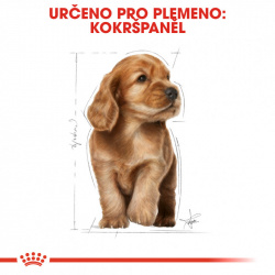 Royal Canin Cocker Puppy