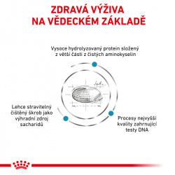 Royal Canin VD Dog Anallergenic