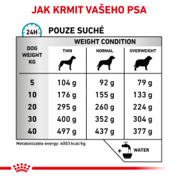 Royal Canin VD Dog Anallergenic