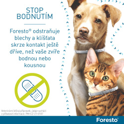 Foresto obojek 38cm pro malé psy a kočky